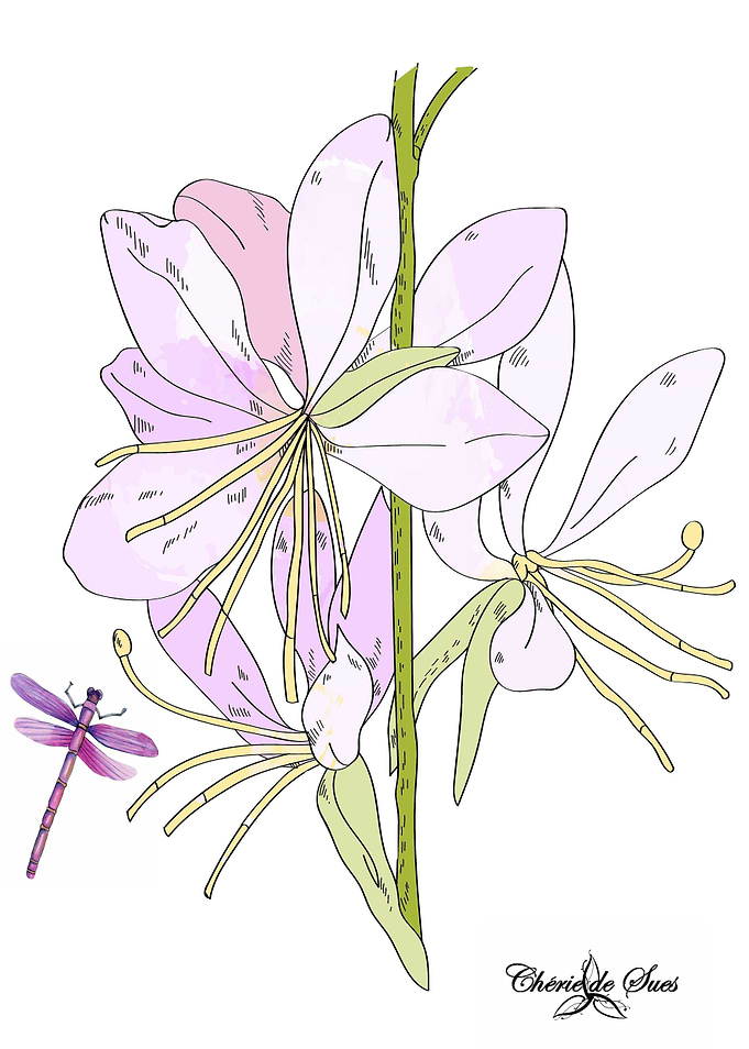 Dragonfly And Amaryllis