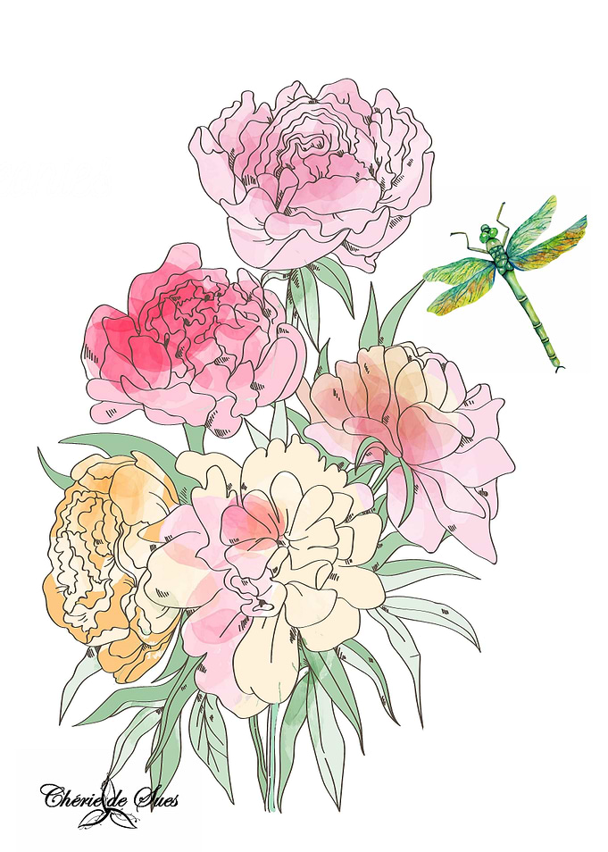 Peonies And Dragonfly