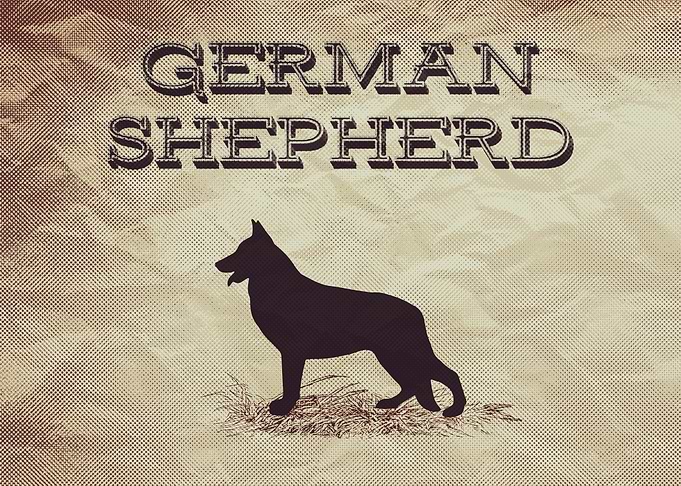 Retro German Shepherd