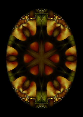 PearEgg 2