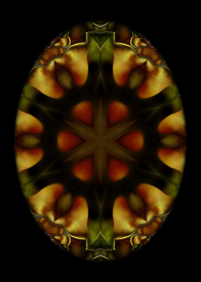 PearEgg 2