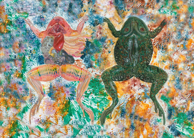 Study of a frog