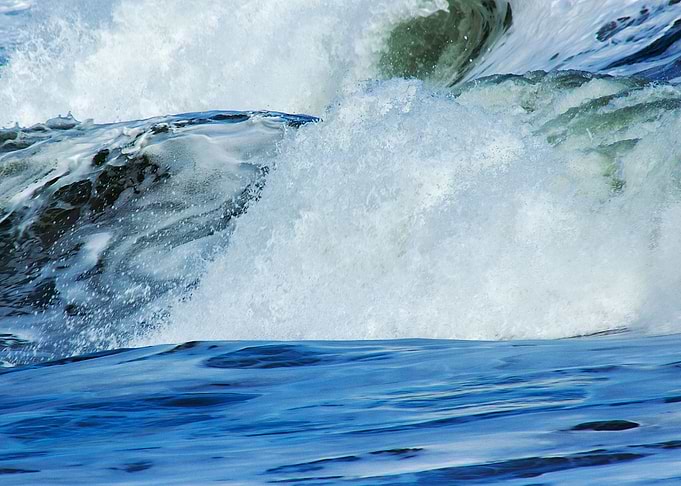 Surfs Up V