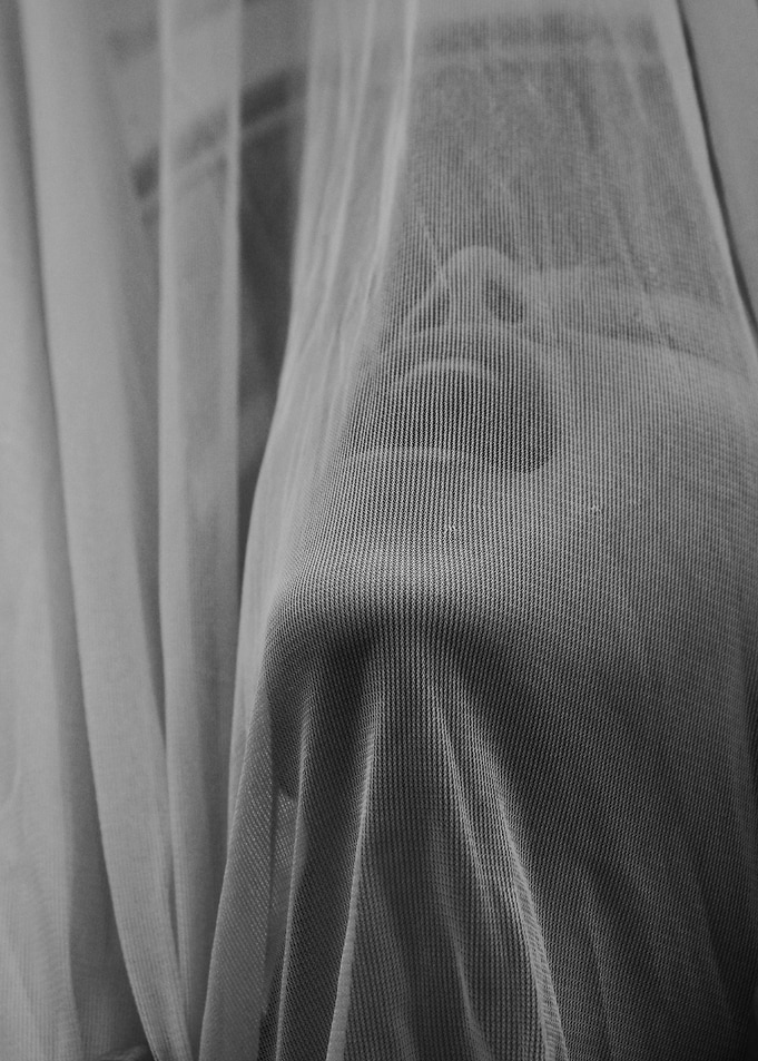 Face Net