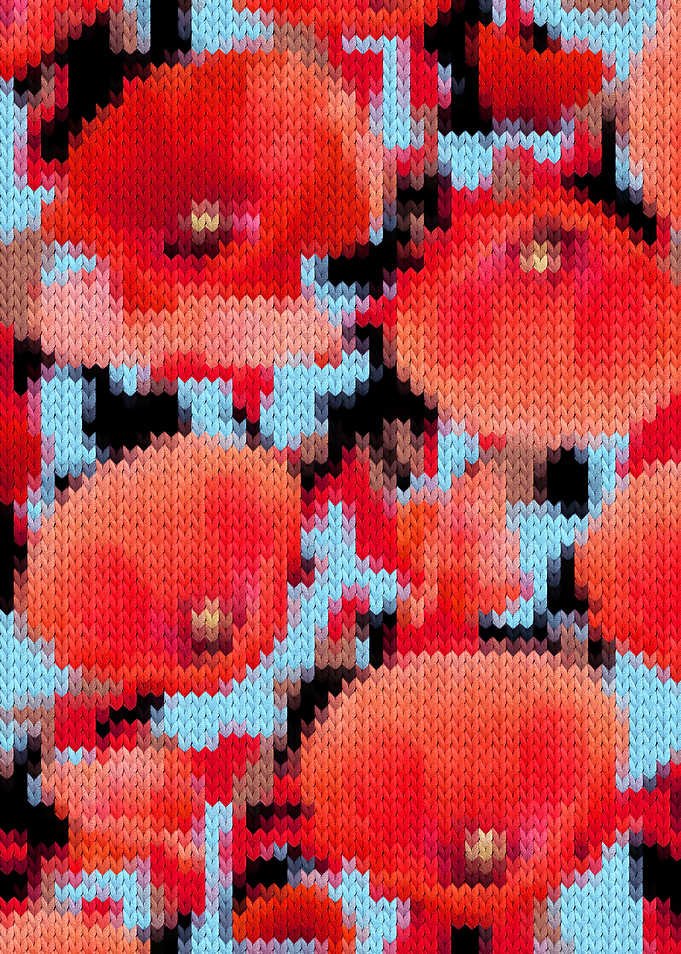 Knitting Poppie