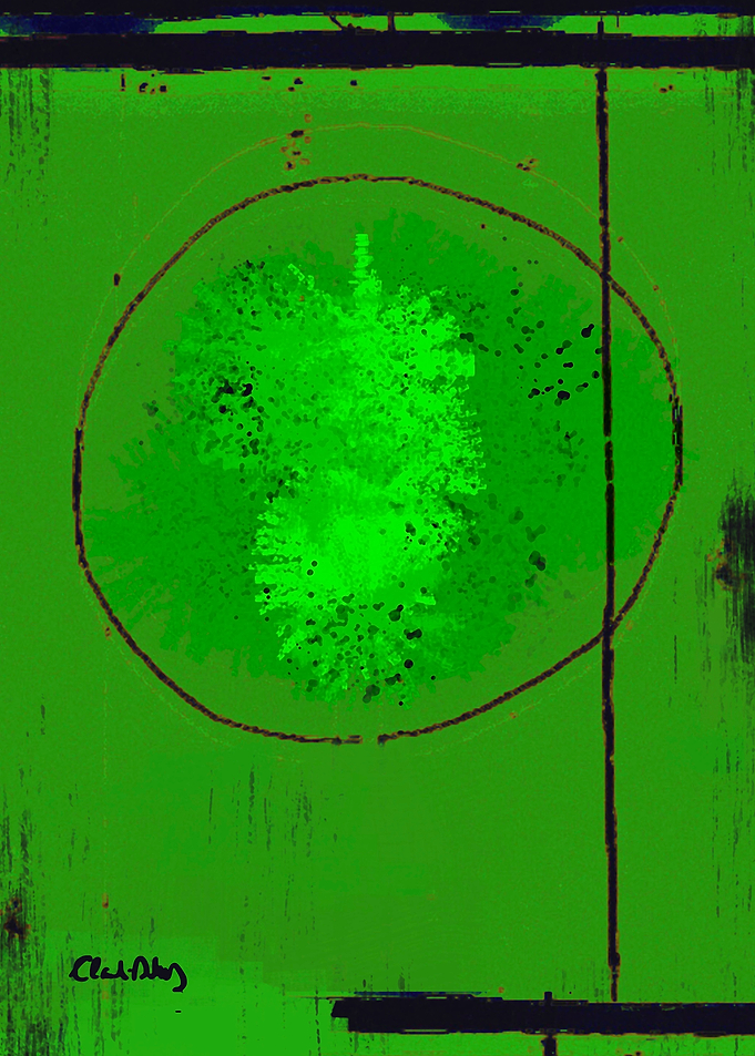 Kiwi FEB19