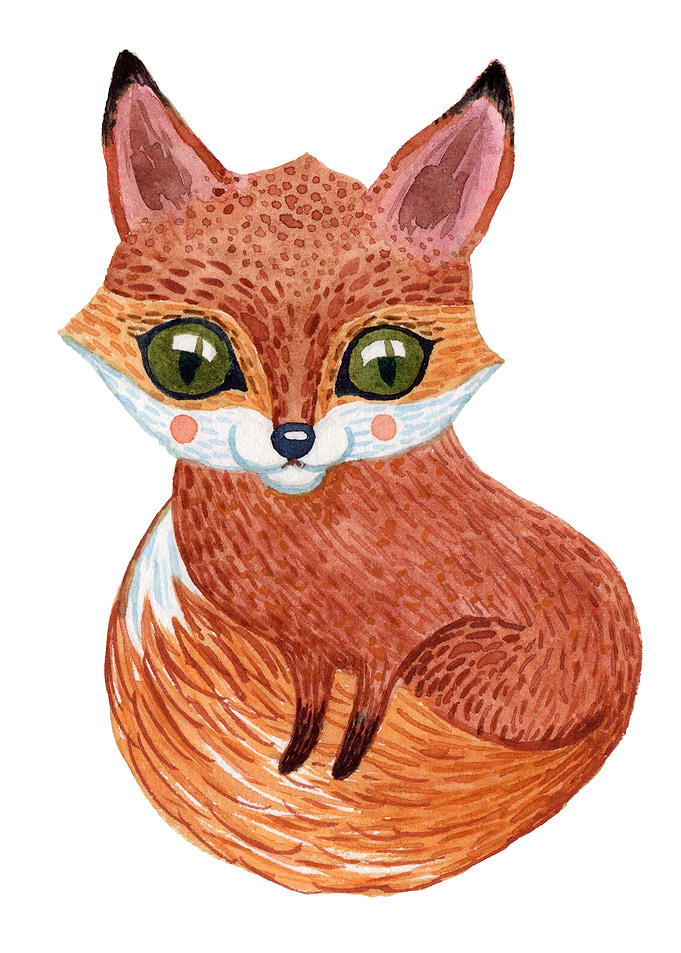 Cute fox illustration