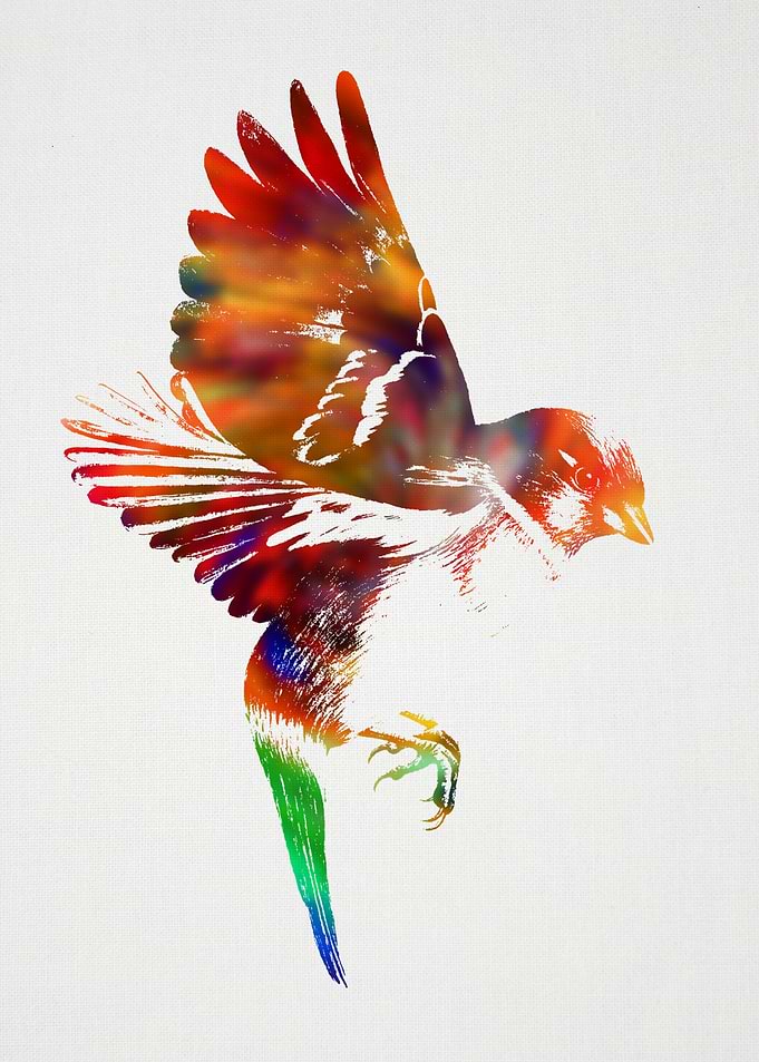 Sparrow