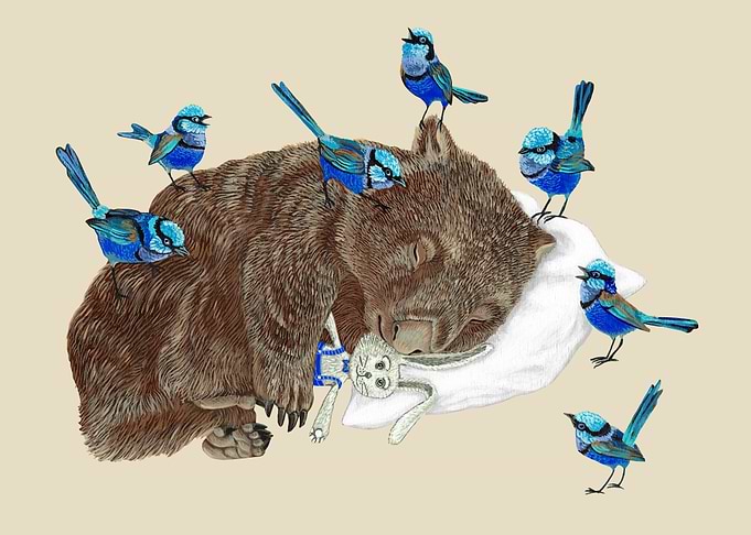 Wombat sleep