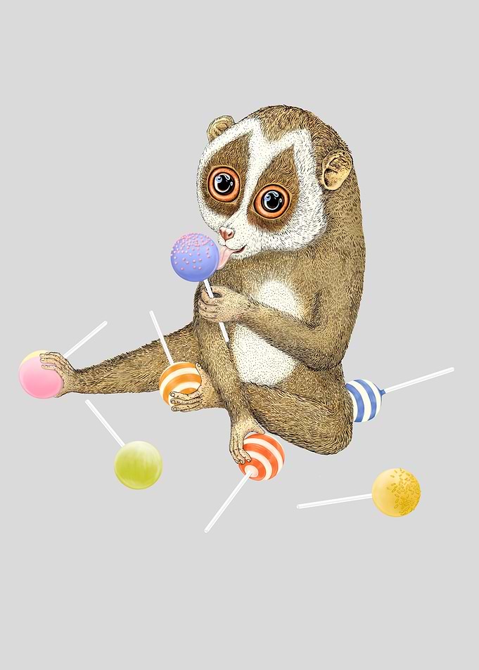 Slow loris and candies