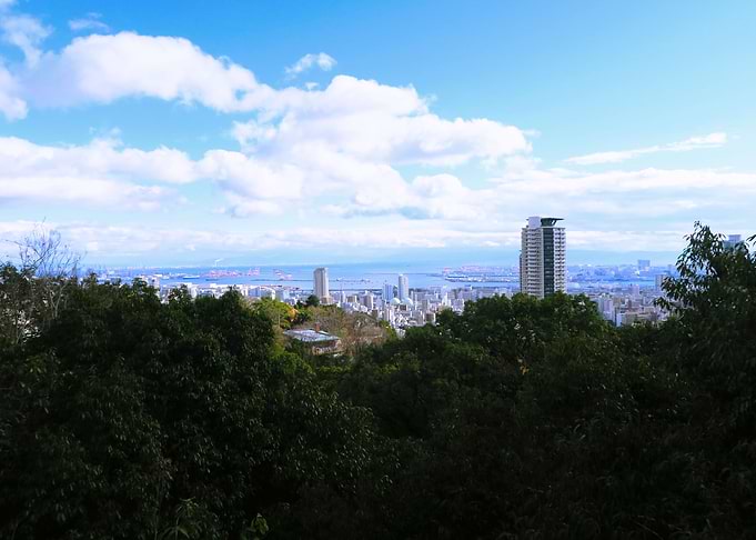 Kobe view