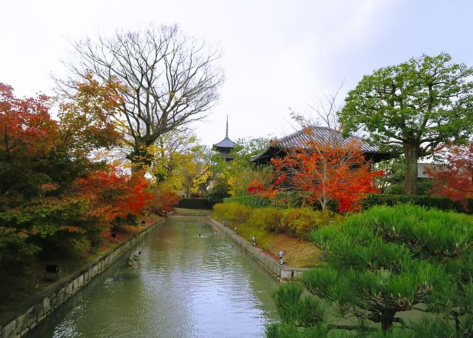 Kyoto spirit