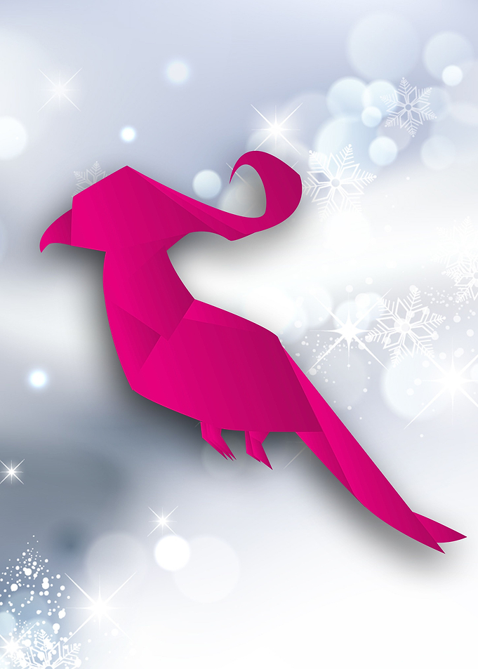 Bird Origami