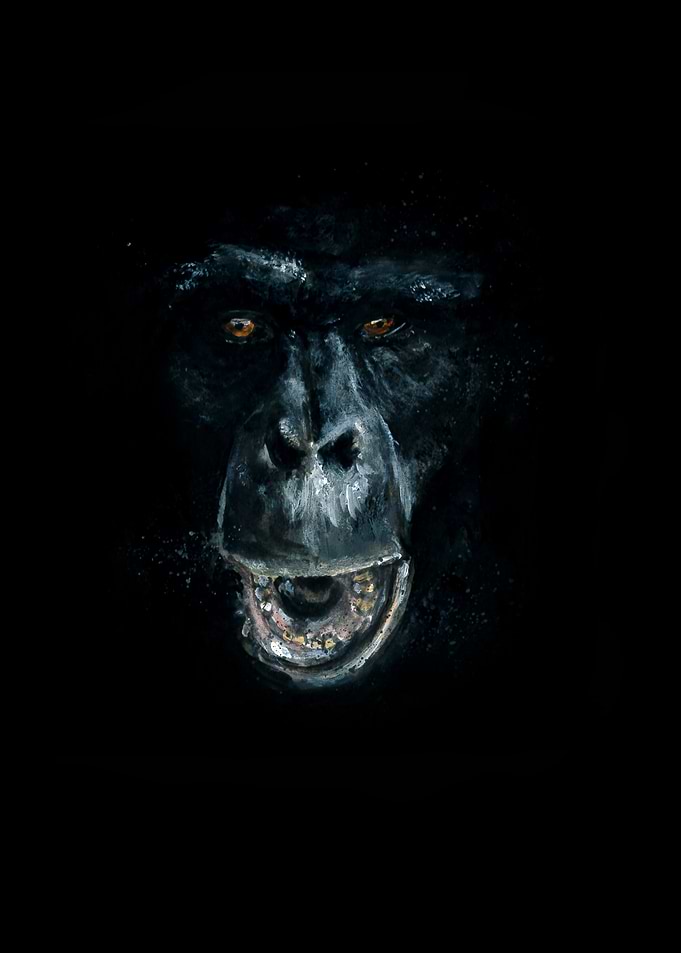 The 3rd monkey mind
