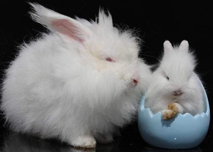 Mommy and me