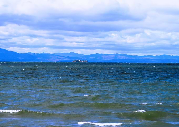 Island biwa