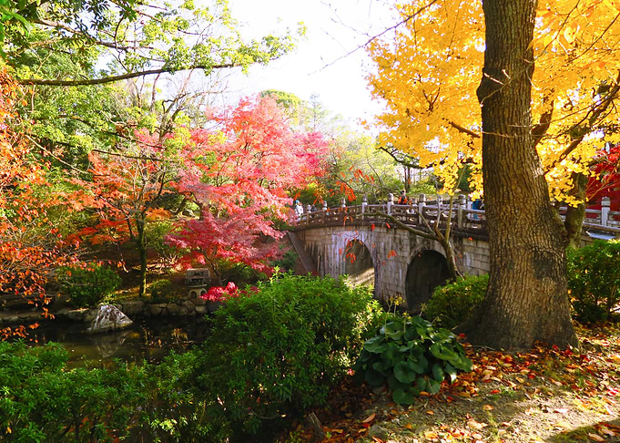 Kyoto Colors