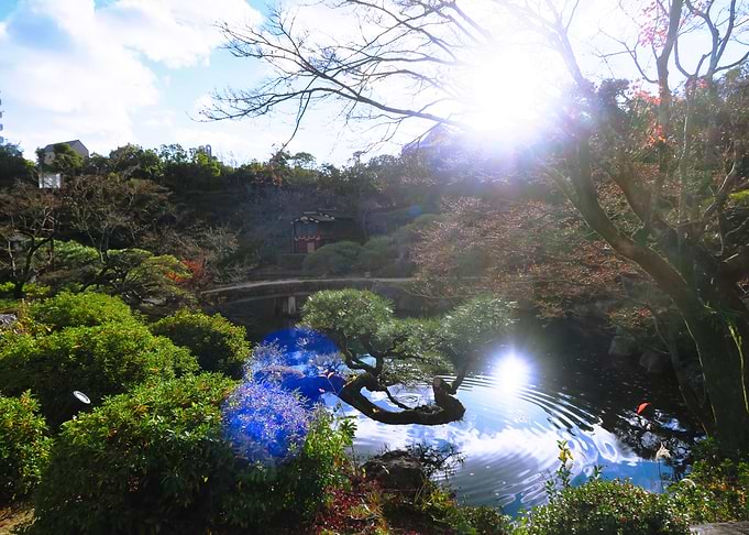 Japanese garden