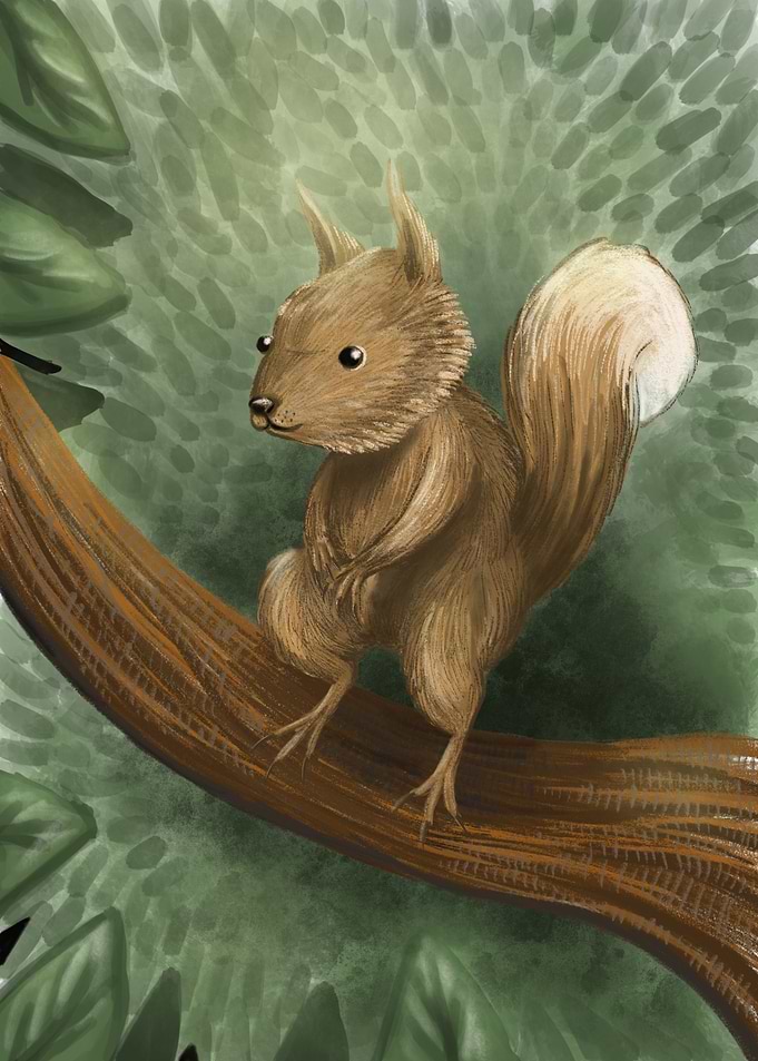 A Cute Squirrel