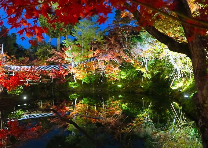 Momiji light 2