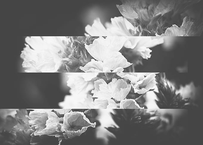 FLOWER BELLS