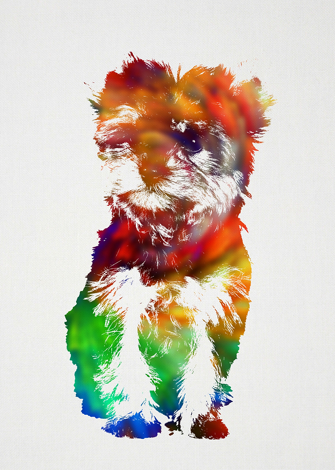 Yorkie