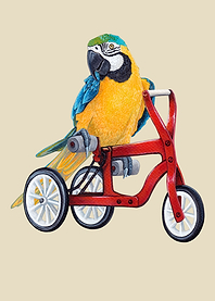 Macaw parrot on tricycle