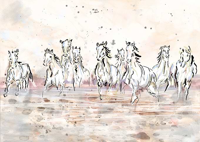 Wild Horses Art