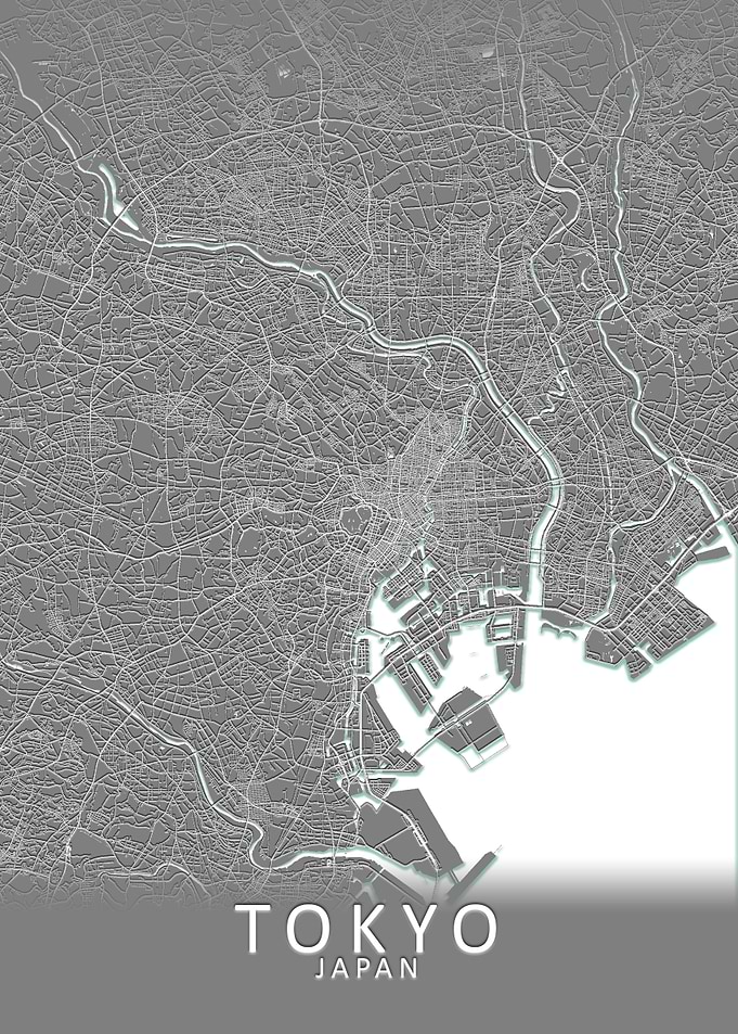 Tokyo Grey City Map