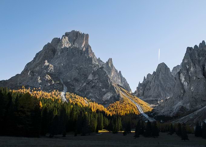 Mountain morning glory