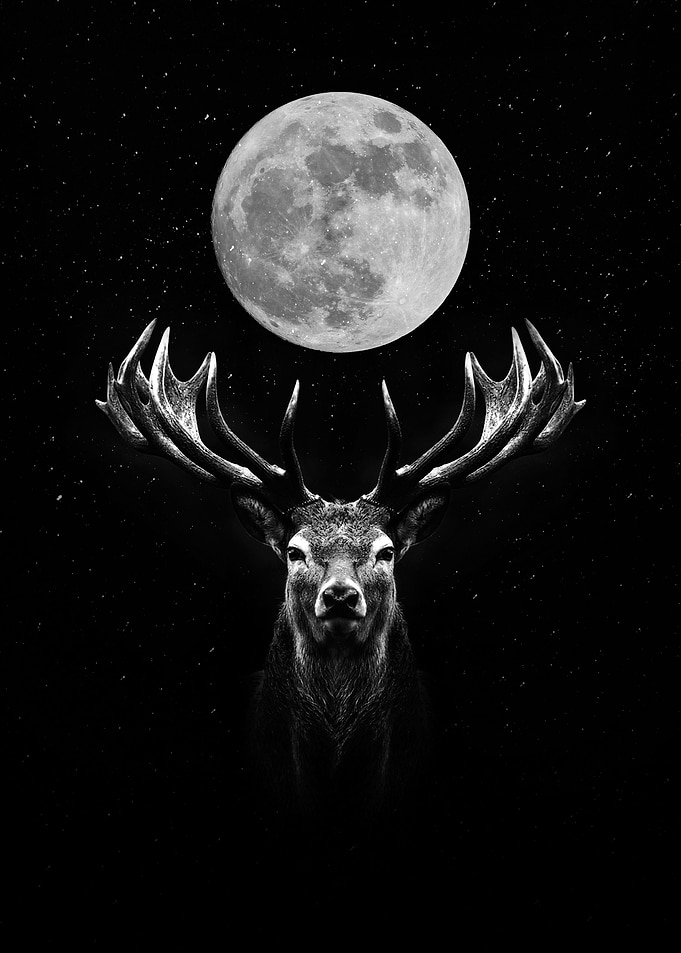 Moon Deer wallpaper