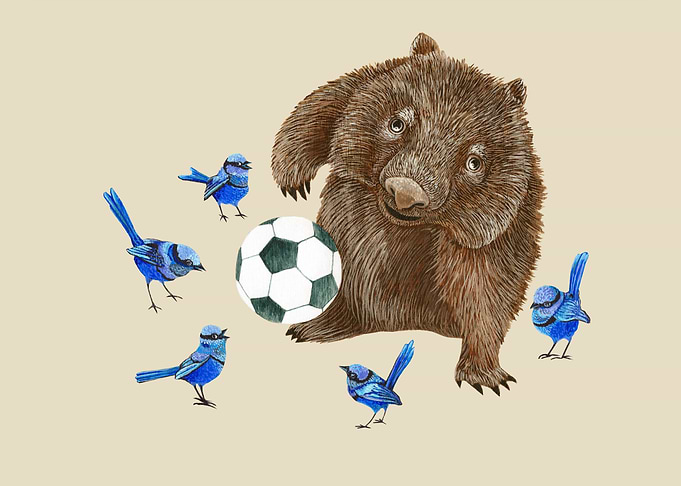 Wombat wrens football