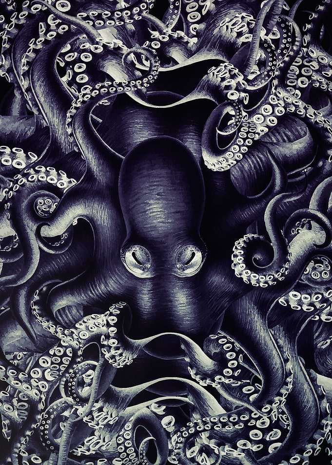 Octopus