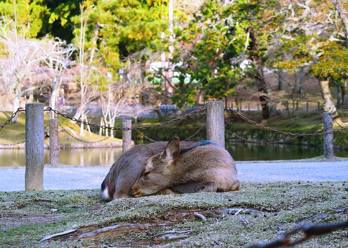 resting time
