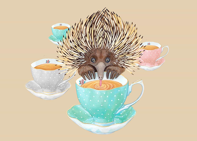 Echidna Tea Time FEB19