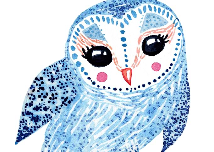 Cute baby barn owl