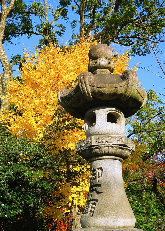 Kyoto yellow