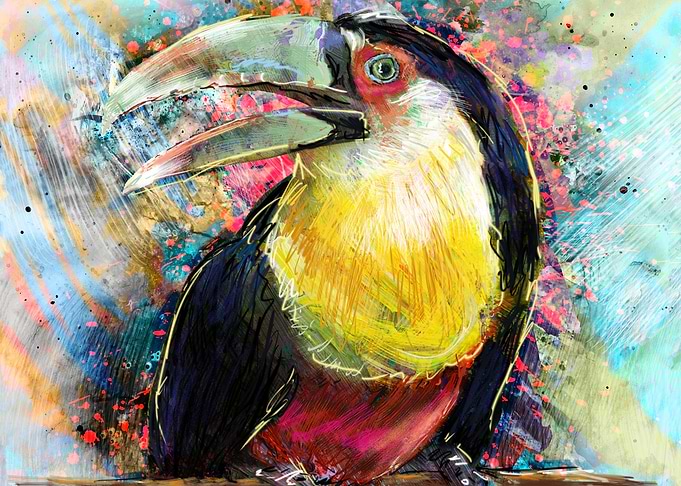 Toucan Bird Paradise Art