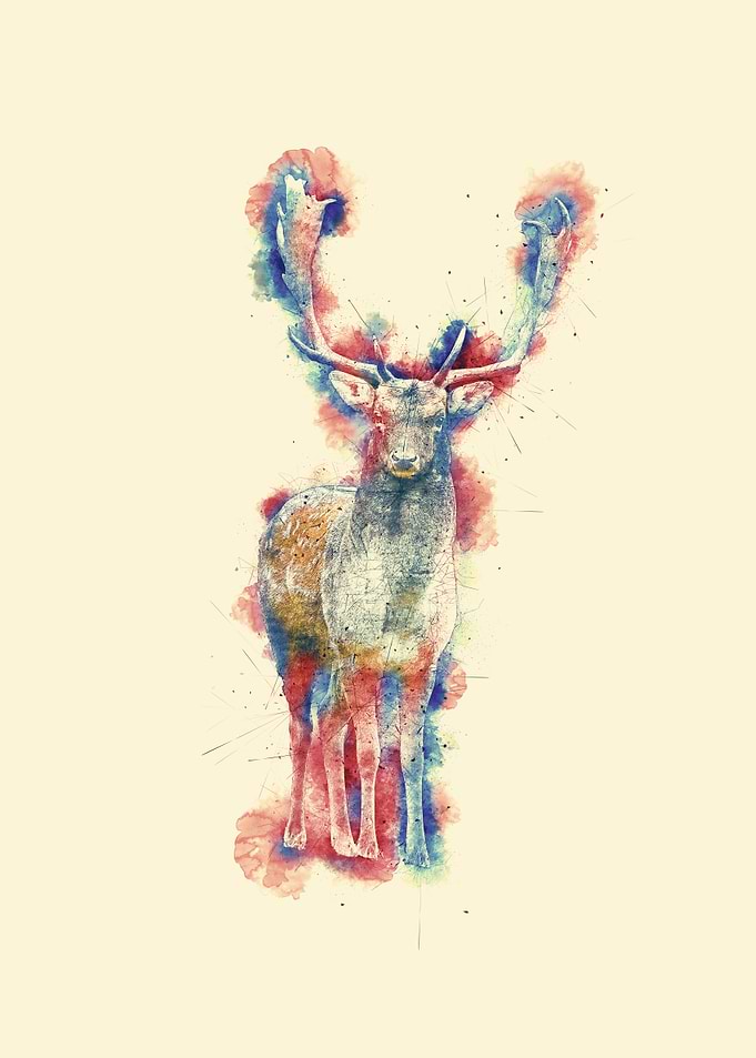 Dear Watercolour
