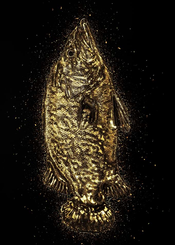 Golden Fish