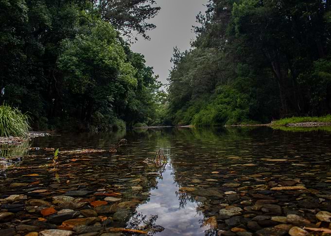 Never Never Creek Water