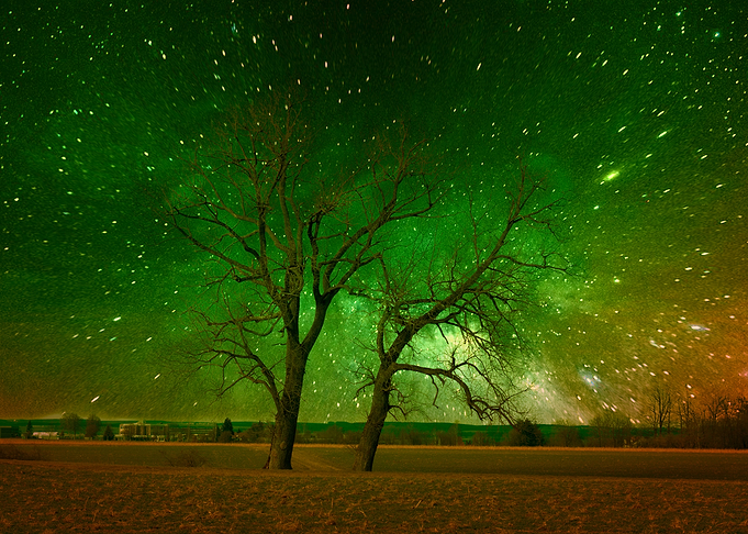 Nature spectacle