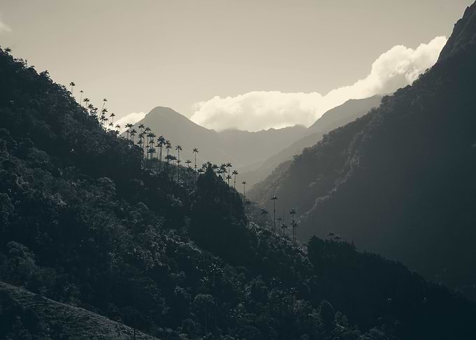 Valle de Cocora