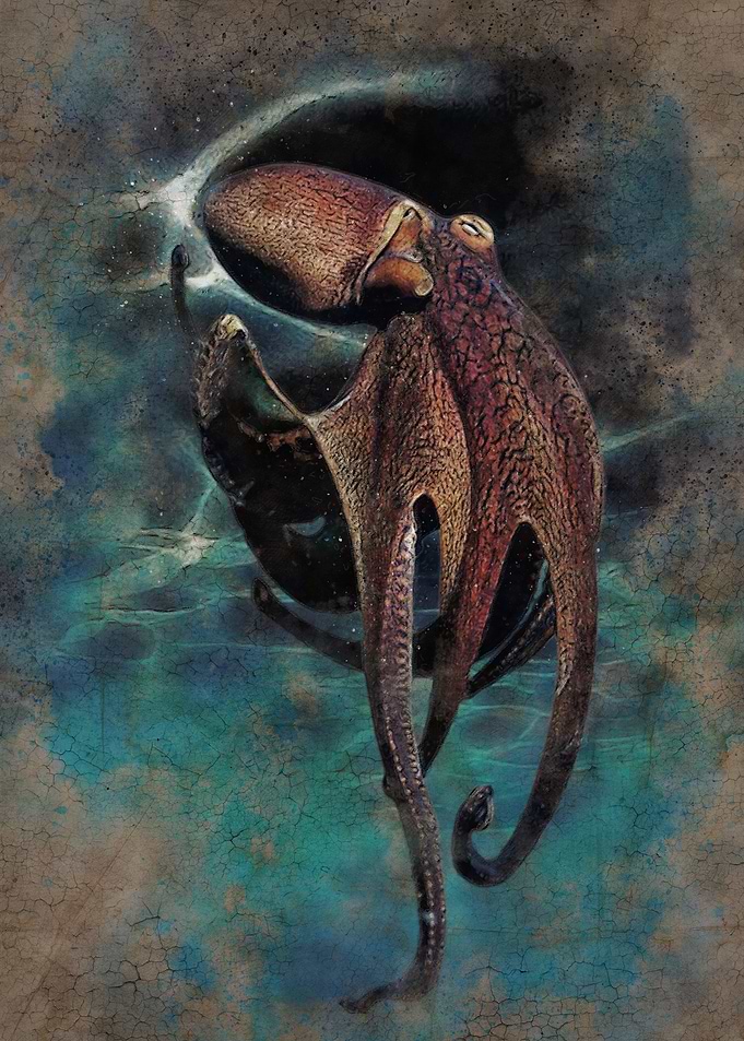 Strange gods
