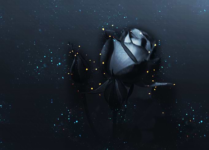 Black Roses