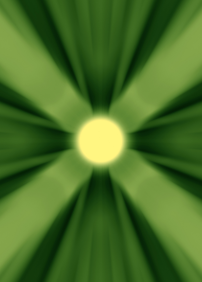 Jungle sunlight