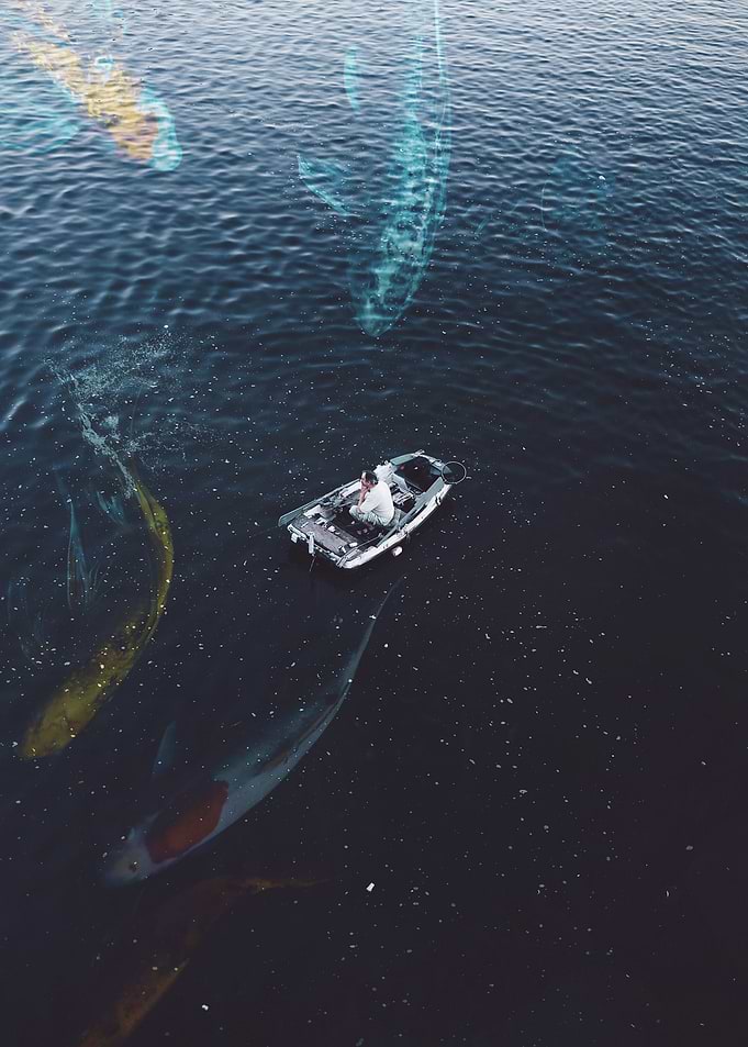 Oceans friends