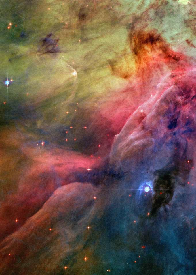 Art of Nature Orion