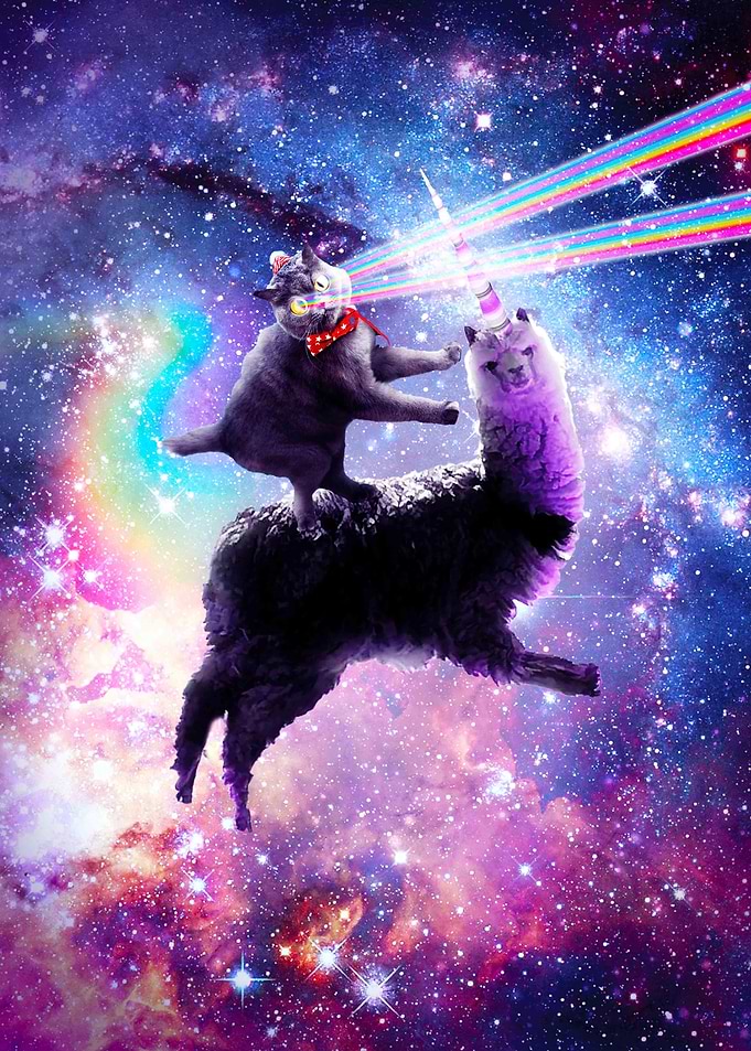 Laser Eyes Space Cat Llama
