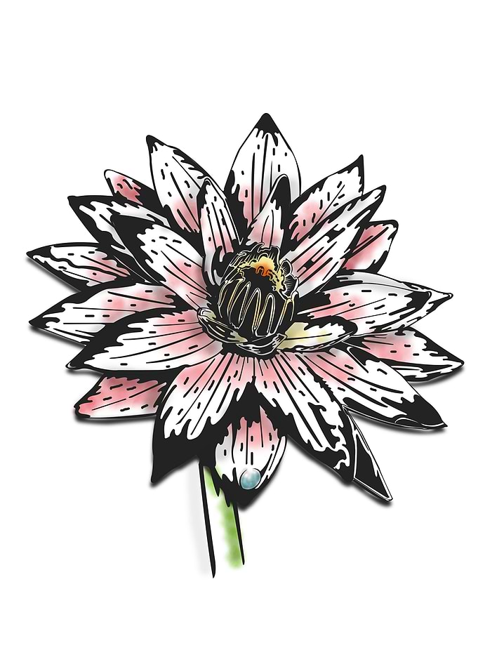 Lotus